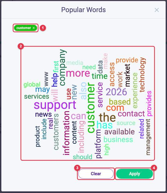 The Popular Words window in LOOQME: selected word customer, word cloud, Clear and Apply buttons