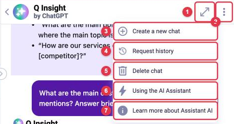 Q Insight menu: expand, ⋮, "Create a new chat", "Request history", "Delete chat", "Using the AI Assistant", "Learn more about Assistant AI"
